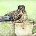 Bluebird with Teacup