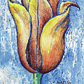 Spring Tulip