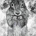Squirrel Snacking