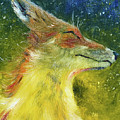 Sweet Fox